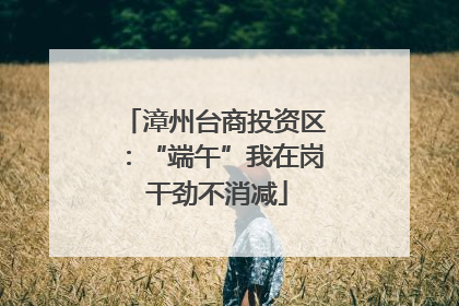 漳州台商投资区：“端午”我在岗 干劲不消减